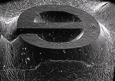 Микрофотография печатной формы высокой печати.