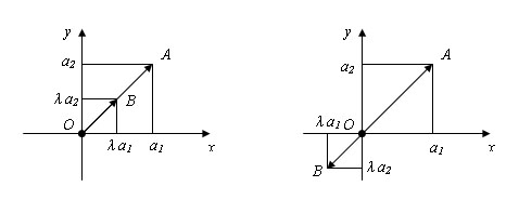 Свойство умножения вектора на число