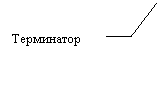 Выноска 3 (без границы): Терминатор