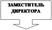 Выноска со стрелкой вниз: ЗАМЕСТИТЕЛЬ ДИРЕКТОРА
