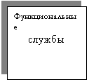Подпись: Функциональные
службы
