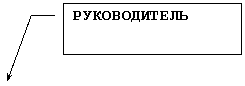 Выноска 3: РУКОВОДИТЕЛЬ