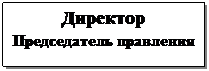 Подпись: Директор
Председатель правления
