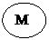 Овал: М