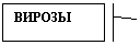 Выноска 2 (граница и черта): ВИРОЗЫ