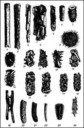 004.jpg (58488 bytes)