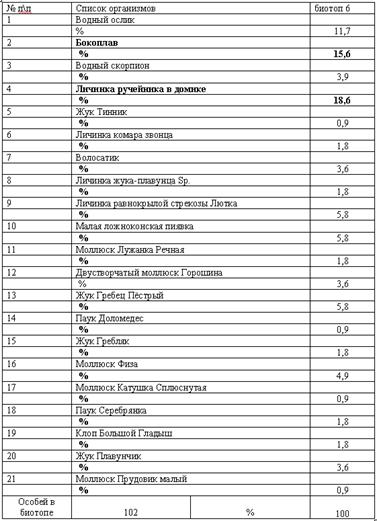 09.gif (10922 bytes)