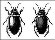 002.jpg (10858 bytes)