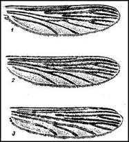 018.jpg (23301 bytes)