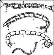 002.jpg (19333 bytes)