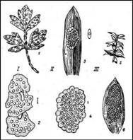 004.jpg (34268 bytes)