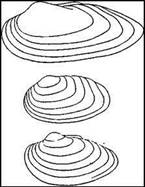 006.jpg (14742 bytes)