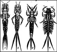 004.jpg (22932 bytes)