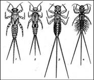 008.jpg (32888 bytes)