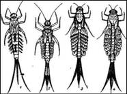 010.jpg (29441 bytes)