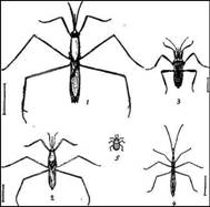 002.jpg (22689 bytes)