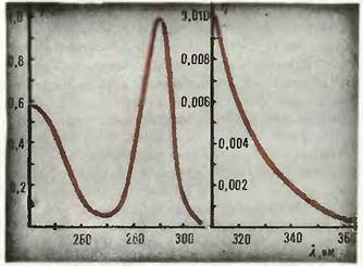 Эритемная чувствительность кожи