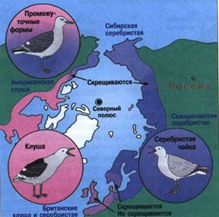 Уроки биологии