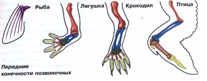 Уроки биологии