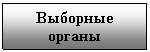Подпись: Выборные органы
