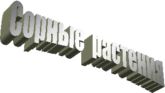 Сорные  растения