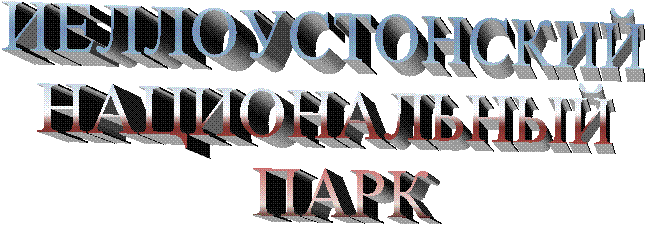 ИЕЛЛОУСТОНСКИЙ 
НАЦИОНАЛЬНЫЙ 
ПАРК