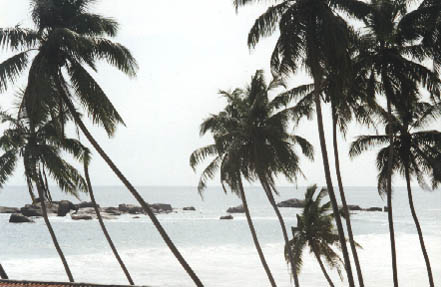 © Сергей Логинов, 2000