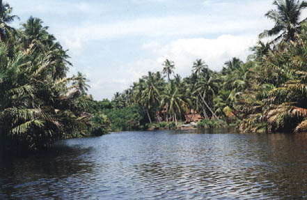 © Сергей Логинов, 2000