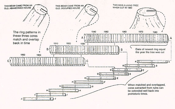 На этом рисунке показано, как осуществляется дендрохронологическая корреляция (изображение с сайта uts.cc.utexas.edu)