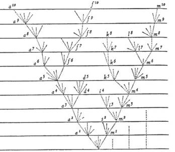 Классическая схема дивергенции по Дарвину имеет вид древа, ветви которого, раз разделившись, уже никогда более не сольются (рис. с сайта macroevolution.narod.ru)
