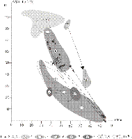 ris3sm.gif (3940 bytes)