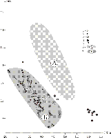 ris6sm.gif (3047 bytes)