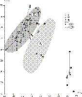 ris7sm.gif (3713 bytes)