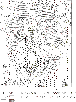 ris1sm.gif (6597 bytes)