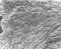 ris8sm.gif (41513 bytes)