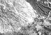 ris9sm.gif (36126 bytes)