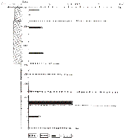 ris12sm.gif (2609 bytes)