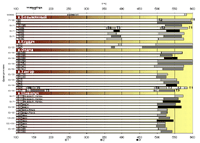 ris4sm.gif (13341 bytes)