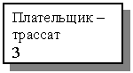 Подпись: Плательщик – трассат
3

