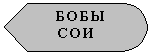 Блок-схема: дисплей: БОБЫ СОИ