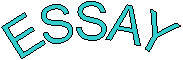 ESSAY