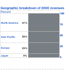 Geographic breakdown of 2000 revenues