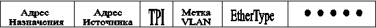Адрес Назначения,АдресИсточника,TPI,МеткаVLAN,EtherType,.....