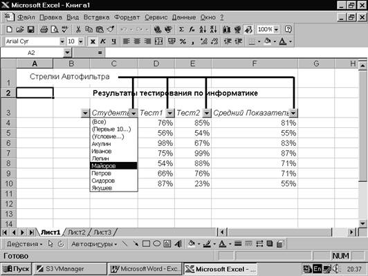 Реферат: Применение электронных таблиц Excel 97