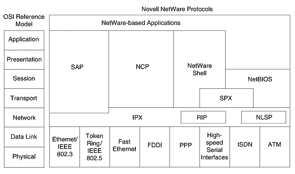 image1.gif (11522 bytes)