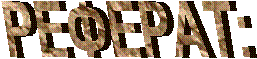 РЕФЕРАТ: