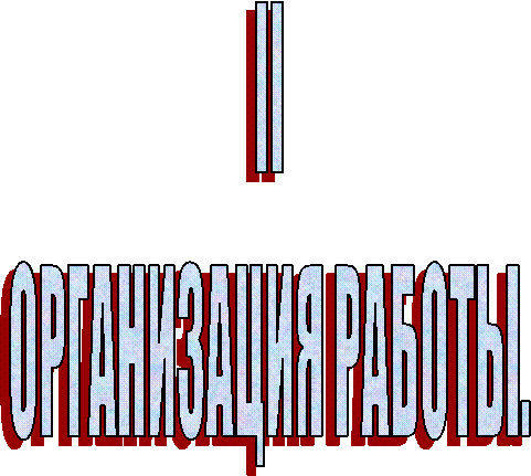 II 
ОРГАНИЗАЦИЯ РАБОТЫ. 