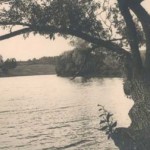 Большой пруд, 1957