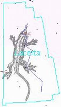 Созвездие ЯЩЕРИЦА