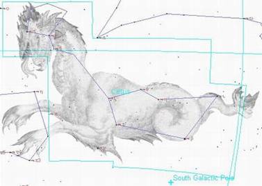 Созвездие КИТ